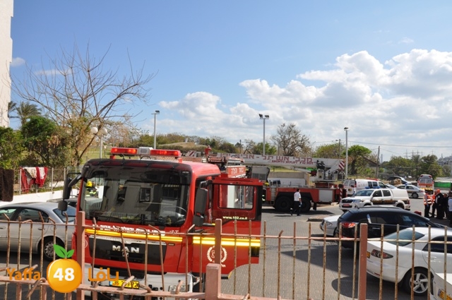 fireshekonatelarab (4).JPG